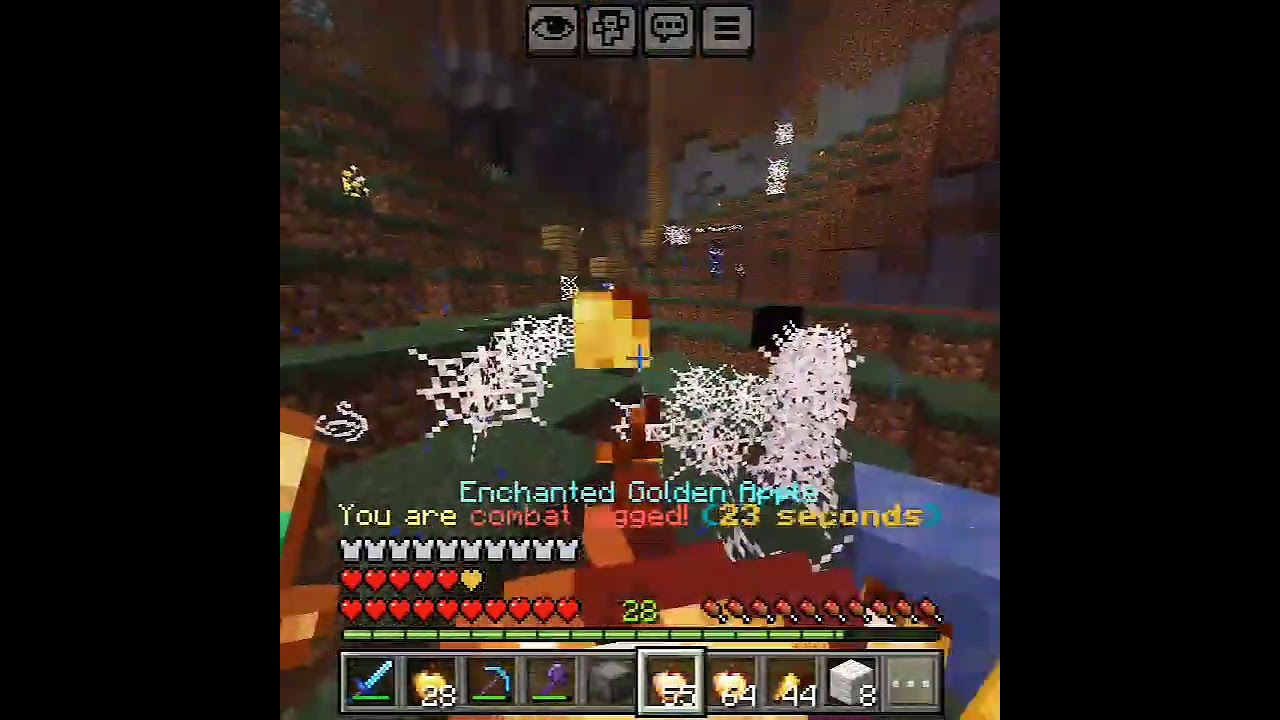 Mace + Elytra #edit #minecraft #lifesteal #fyp