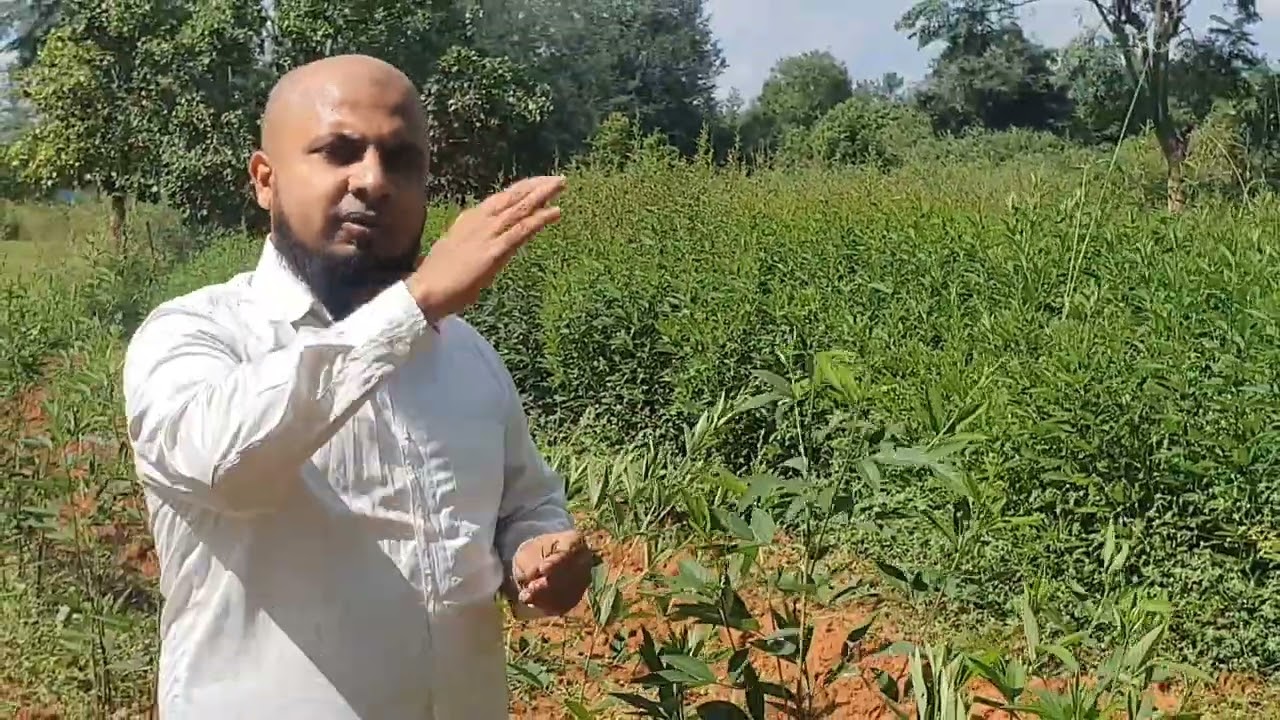 ತೊಗರಿಯ ತಳಿಗಳು ಮತ್ತು ಆಧುನಿಕ ತಾಂತ್ರಿಕತೆಗಳು