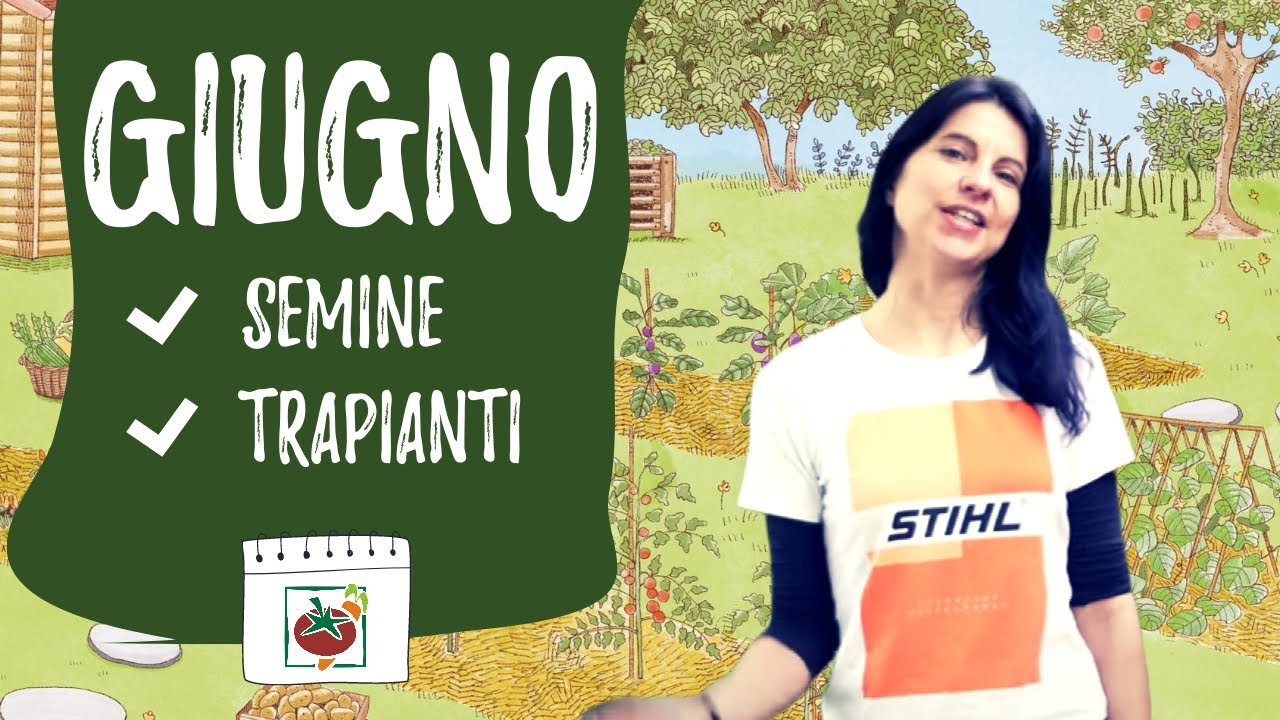 GIUGNO: cosa seminare e piantare adesso nell'ORTO