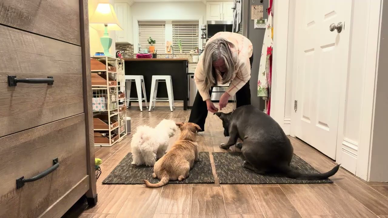 Three stages of DOWN
