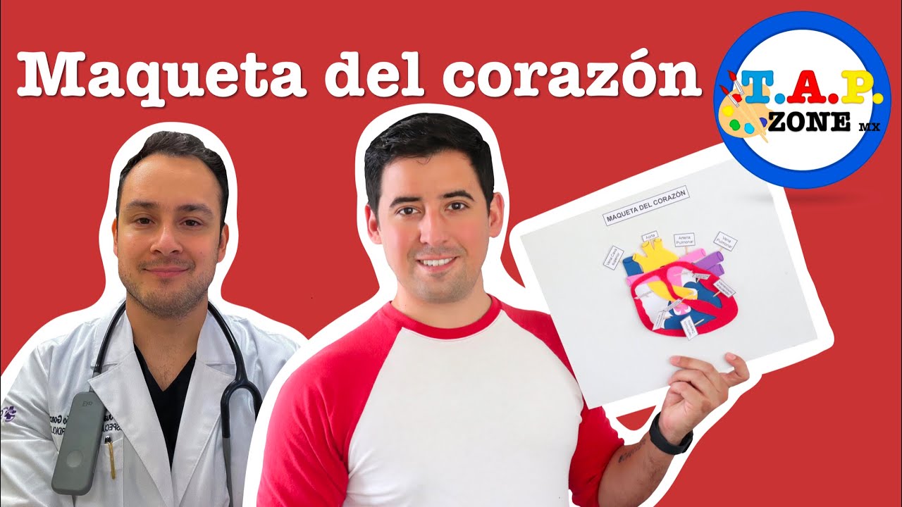 Maqueta del Corazon - TAP ZONE Mx