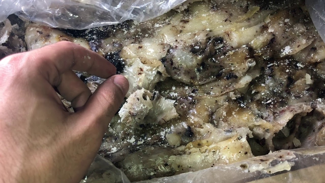 Resina Elemí - Onde Comprar Resina Elemí