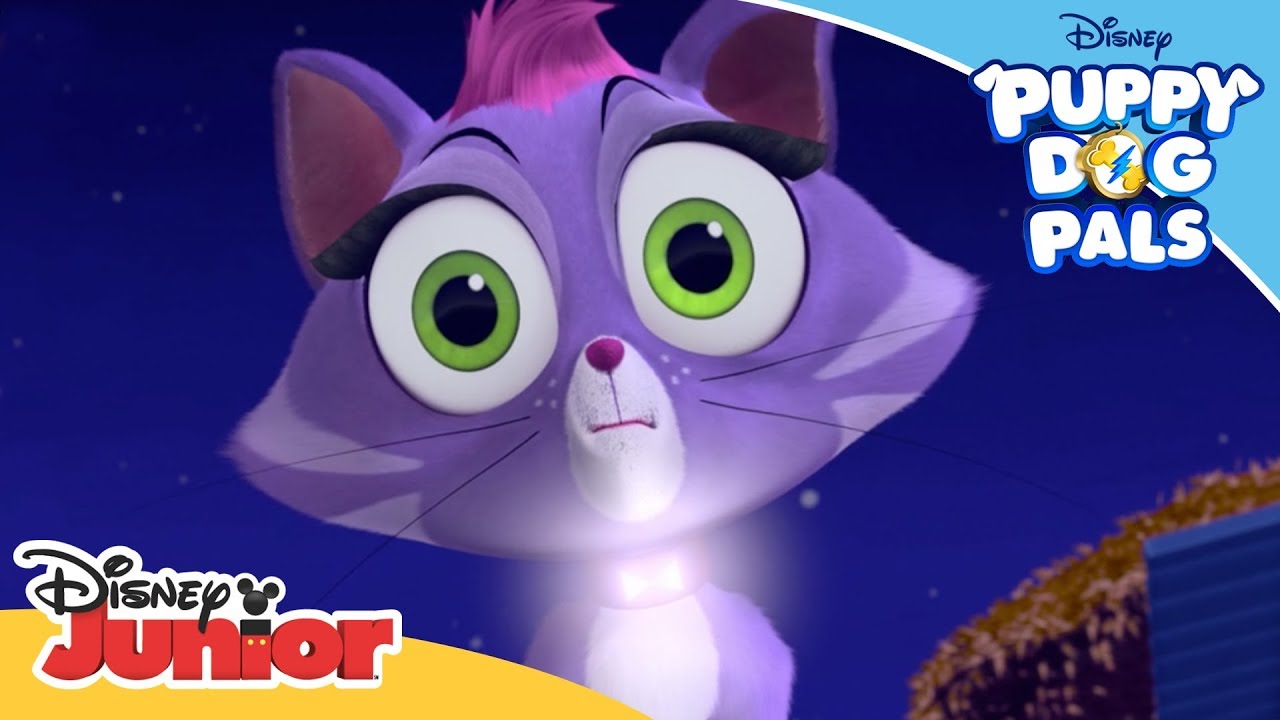 Return to the Pumpkin Patch 🎃 | Puppy Dog Pals 🐶 | Disney Junior Arabia