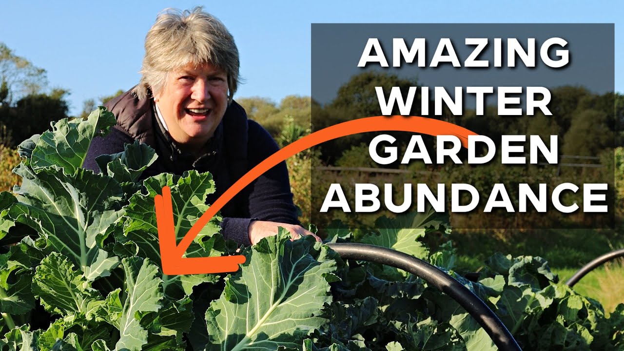 Fantastic Winter Vegetables for your Garden | Towards Self Sufficiency