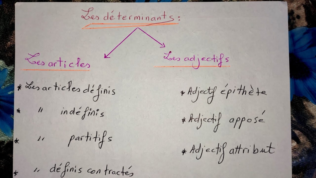 Les déterminants : Les articles + Les adjectifs