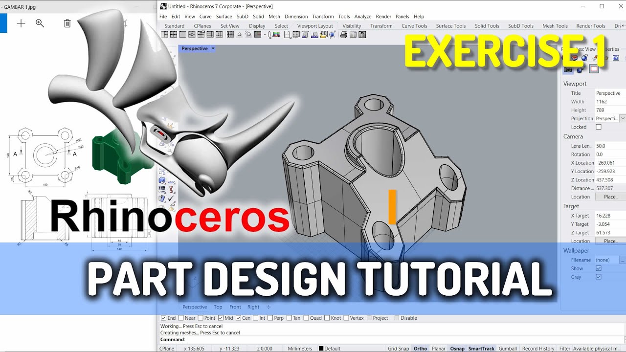 Rhino Exercise 01 3d Modeling Tutorial For Beginner