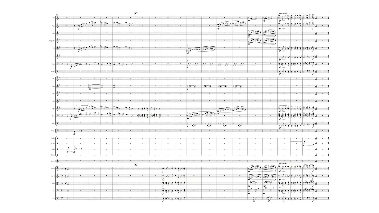 Van Hoorick - Symphony No  4
