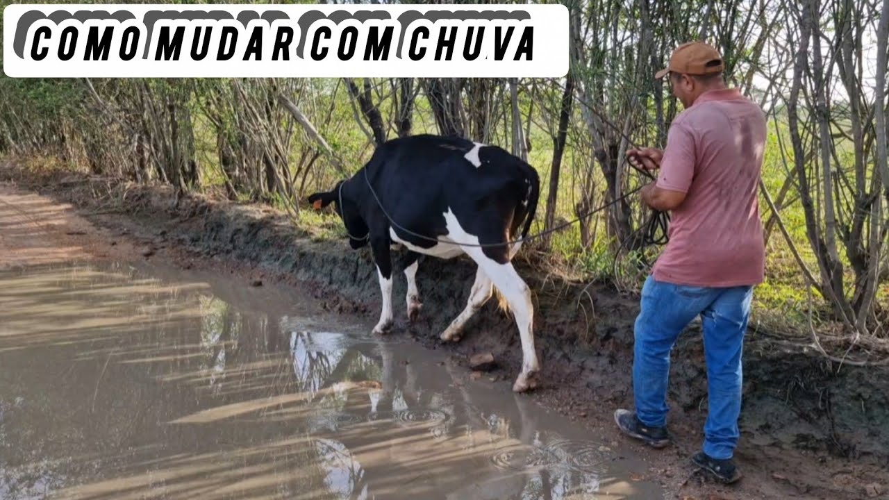Como mudar o interior com chuva 