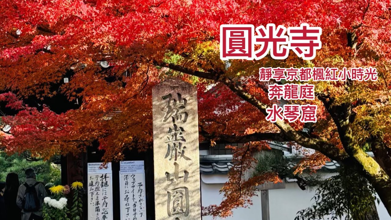 圓光寺｜京都東北部的靜美賞楓點 🍁