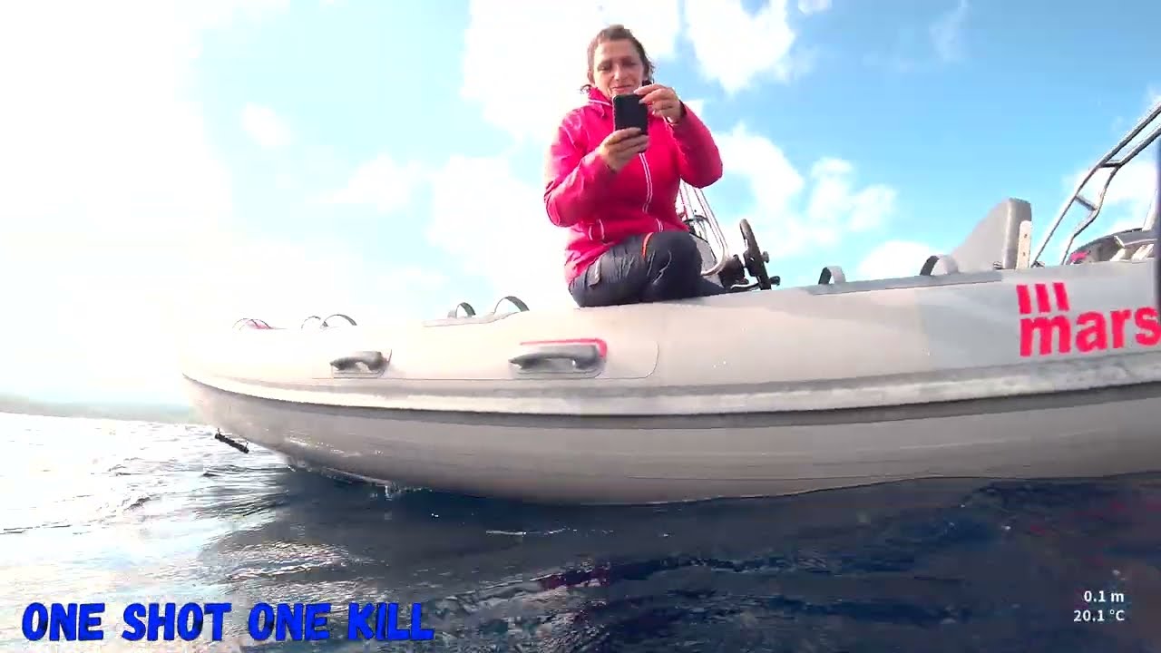 white groupers