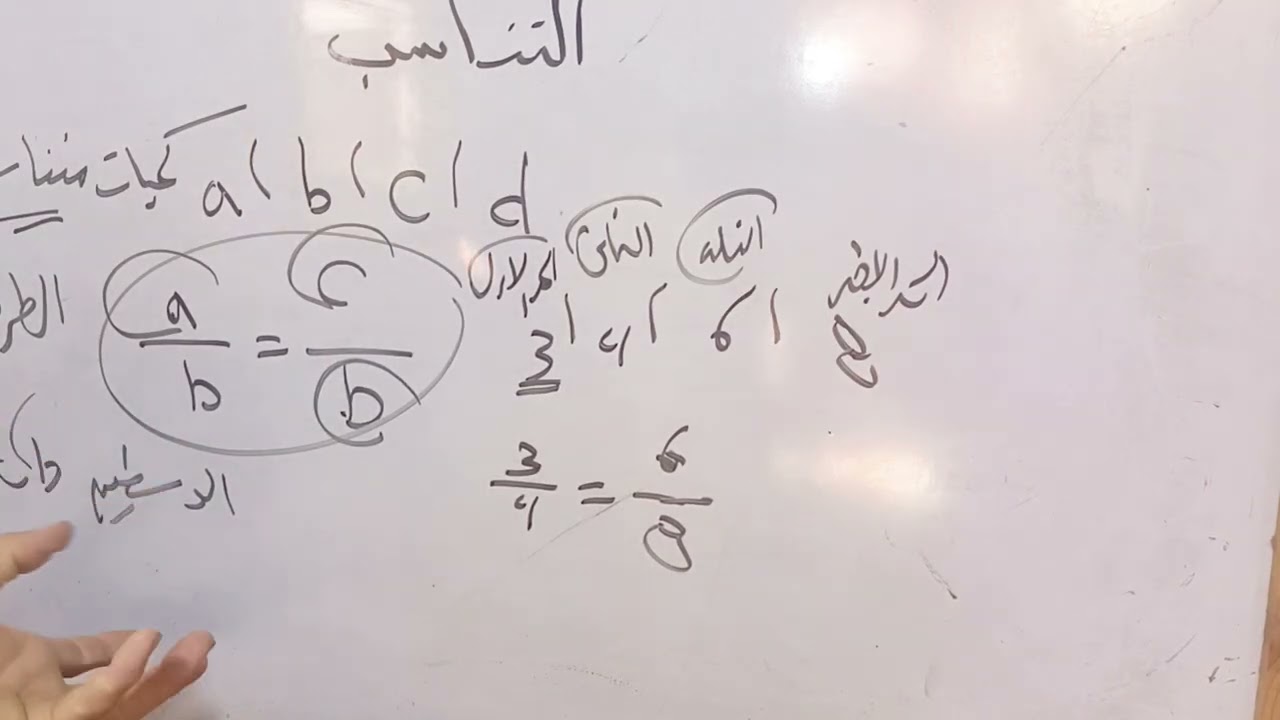 الصف الاول الاعدادي التناسب