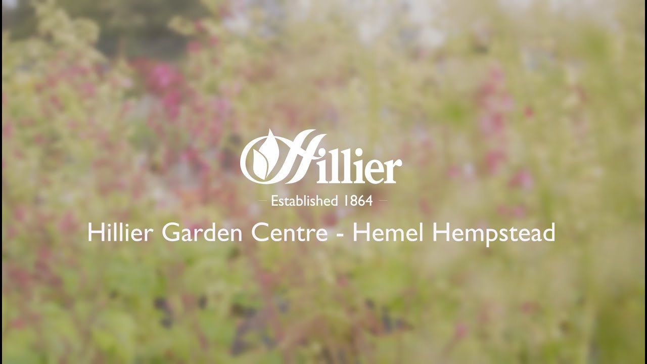 Hillier Garden Centre Hemel Hempstead Virtual Walk Through