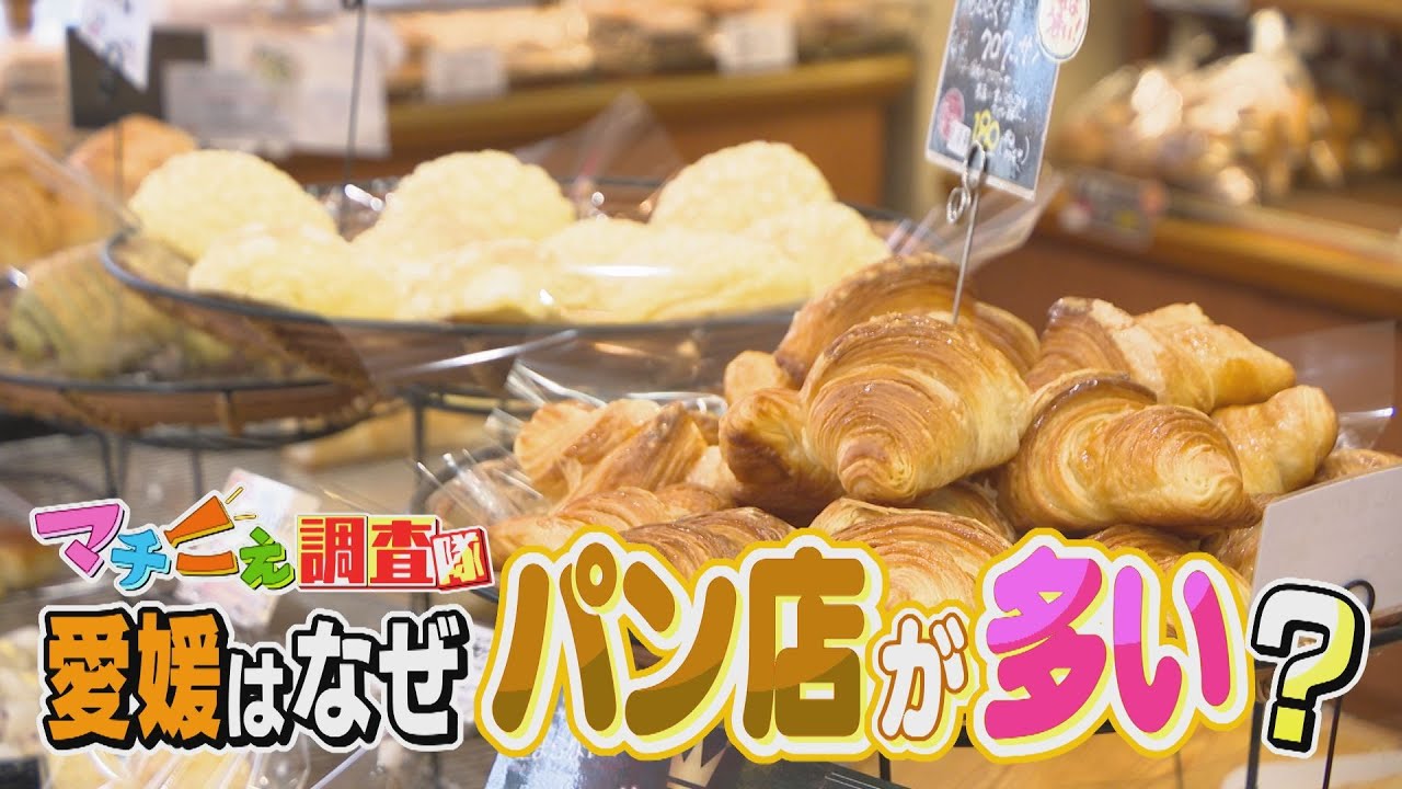 【なぜ】パン店がやたらと多い愛媛県 “終わらないパンブーム”の理由を徹底調査！