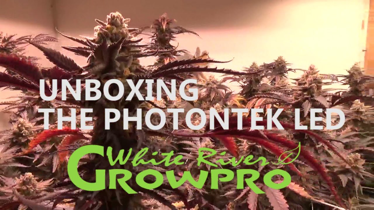 Unboxing the Photontek X 465W Pro LED