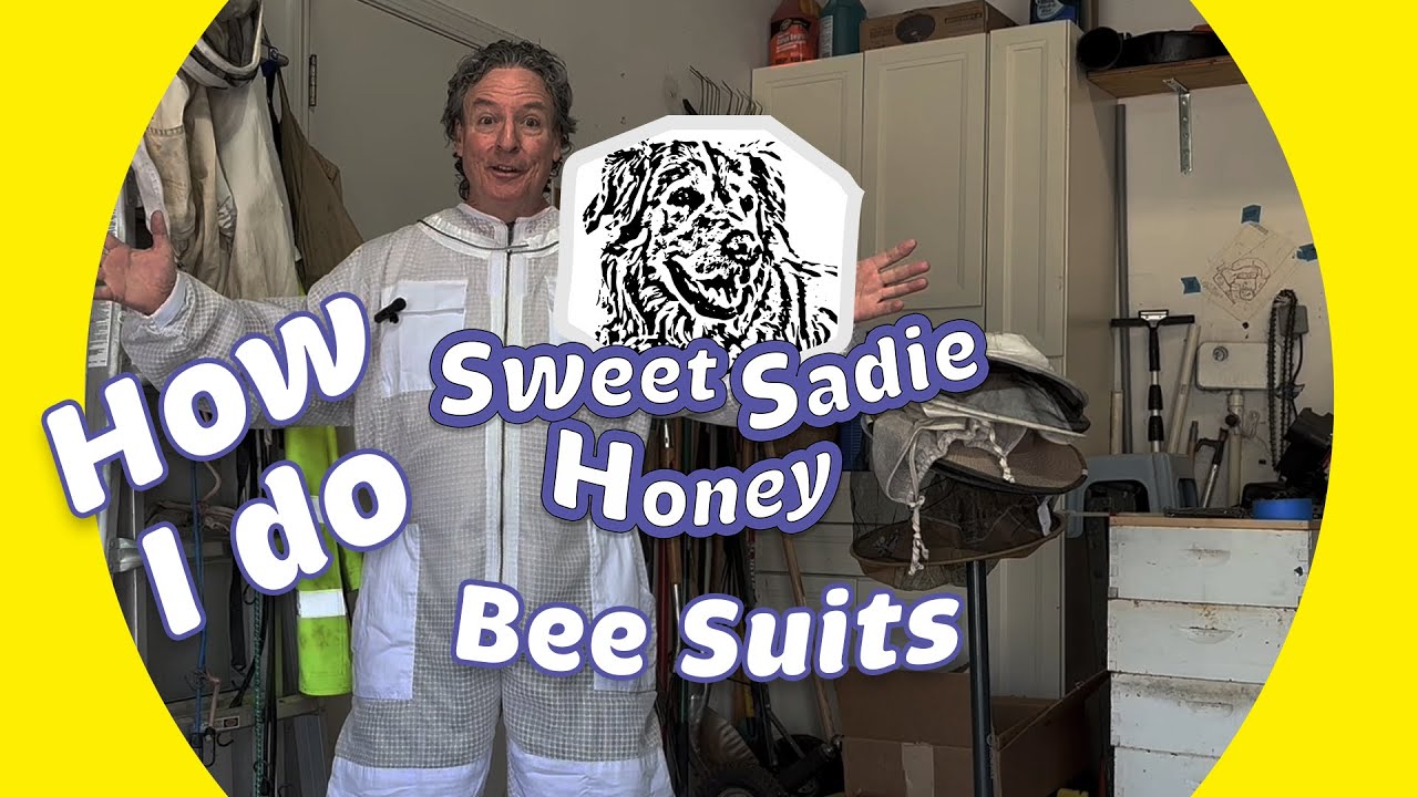 How I Do Bee Suits: Upgrading to My Ultimate Bee Suit