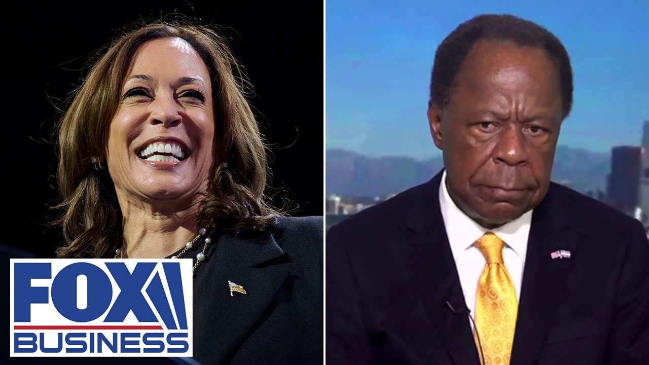 'DISINGENUOUS': Leo Terrell blasts Harris' rollout of Black programs