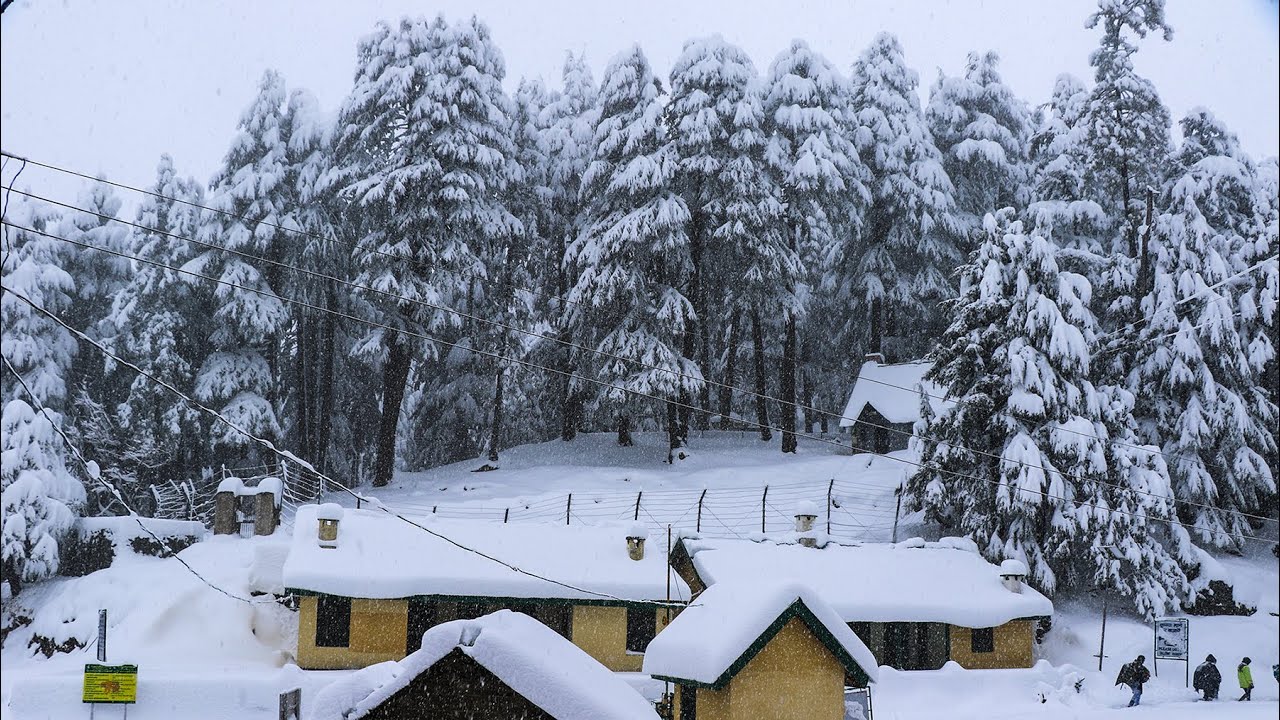 Trek to Kalatop Basecamp  |  Dalhousie  |  Invincible NGO