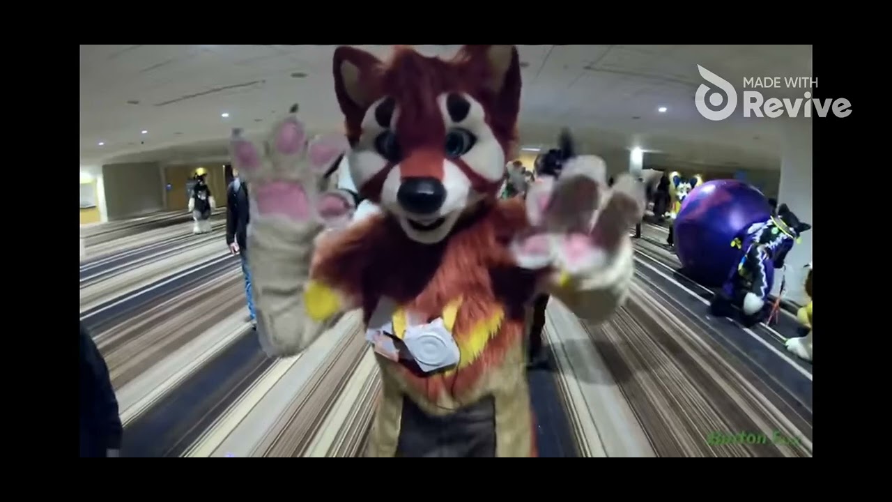 JFET being the furry goat fursuiter king of the rumba beat @JFETSpeaks 