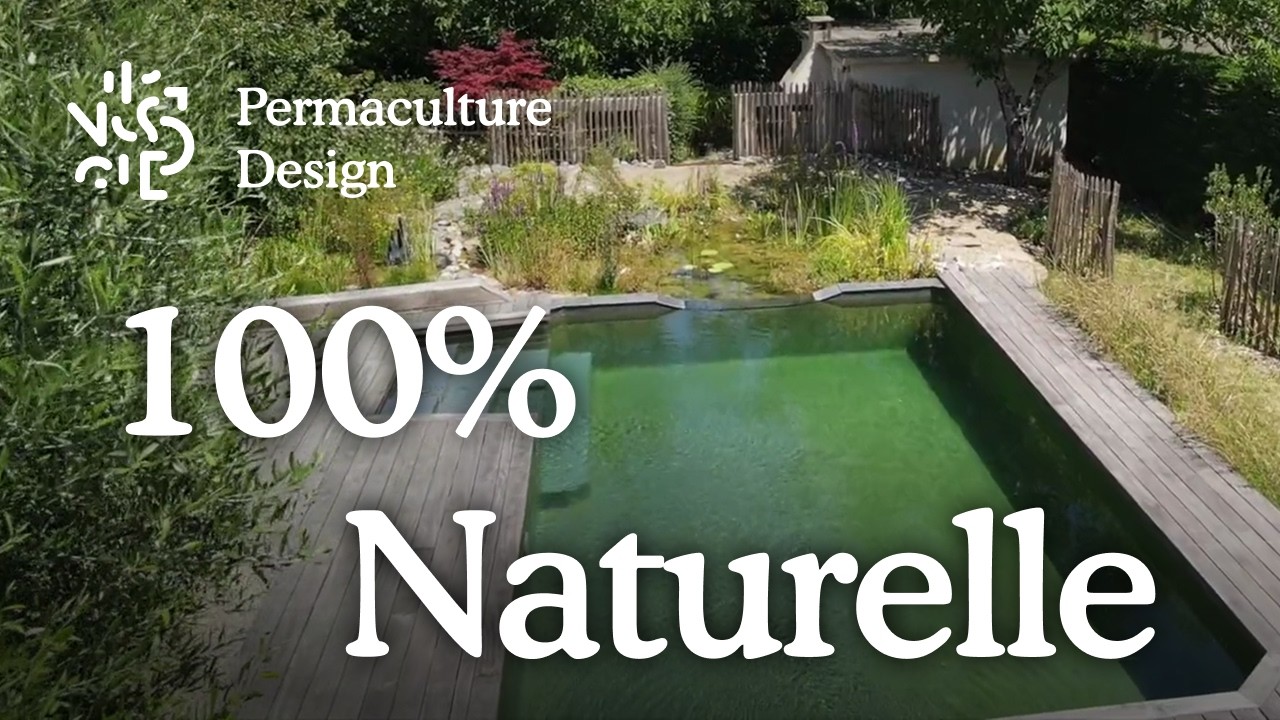 Transformation d’une ancienne piscine en bassin de baignade naturel