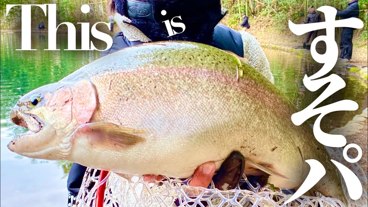 【肥大魚】最近のすそのフィッシングパークで釣れたルアー&釣り方8選