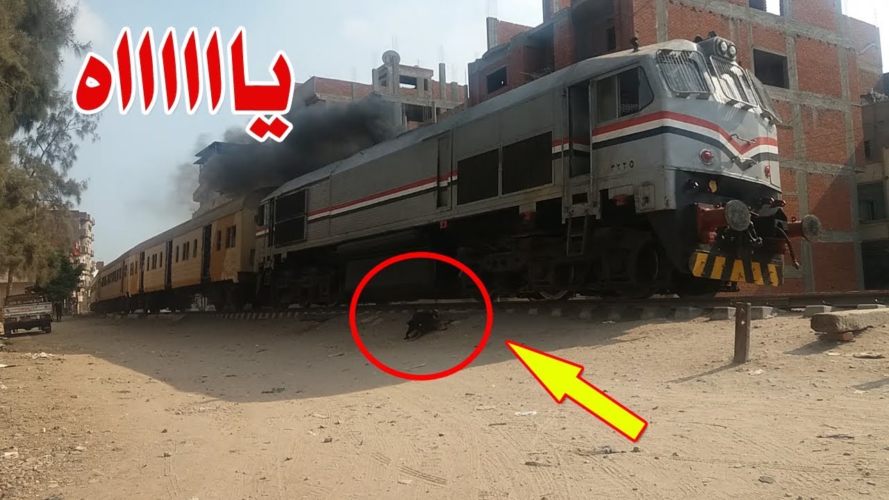 بالفيديو لحظات النهايه بين عجلات القطار