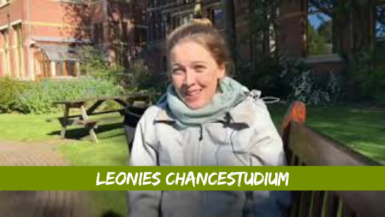 Psychologie studieren in Holland