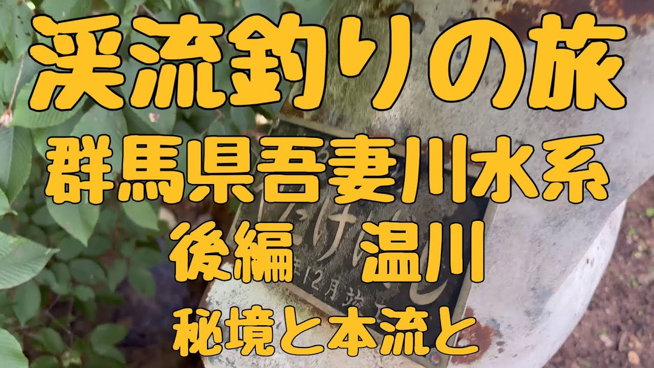 渓流釣りの旅　群馬県吾妻川水系温川