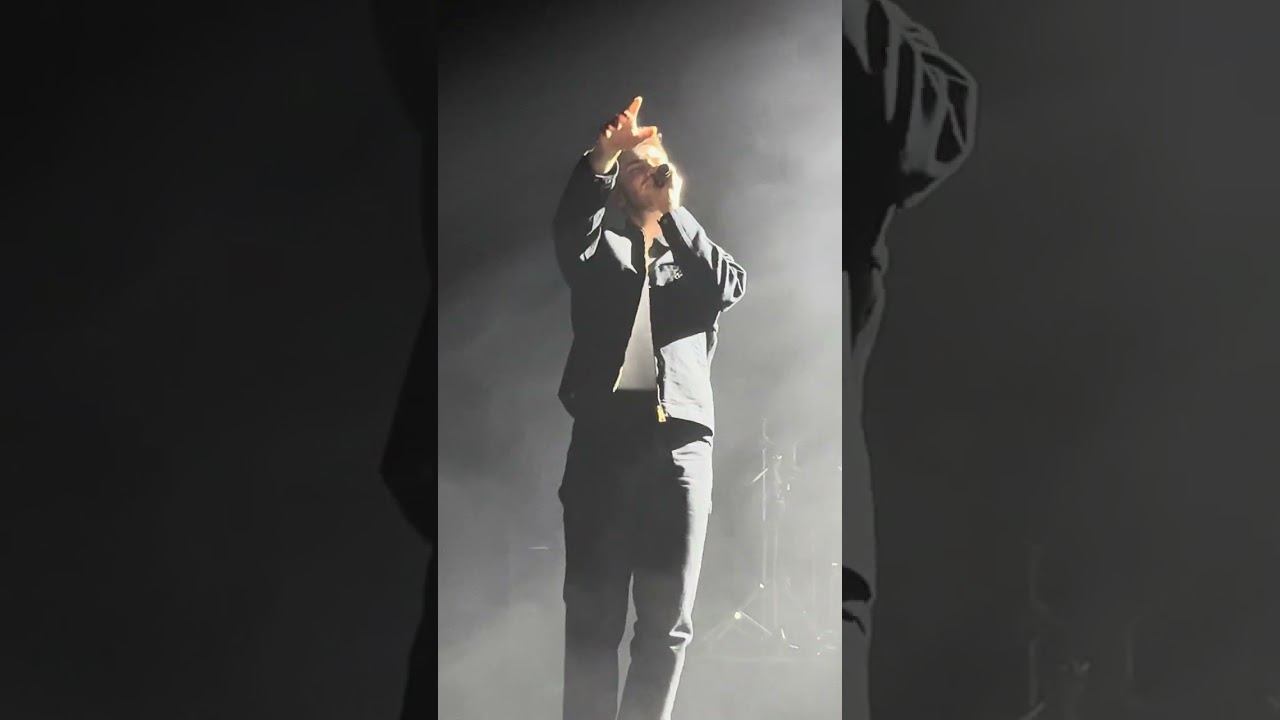 Julien Lieb - Formidable (Live, Angers)