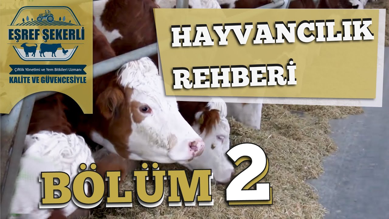 Hayvancılık Rehberi - 24 Mart 2020 -  Bölüm 2 #HayvancılıkRehberi