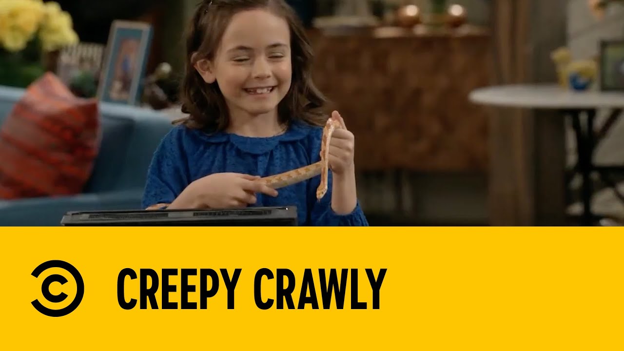Creepy Crawly | Man With A Plan | Comedy Central Africa