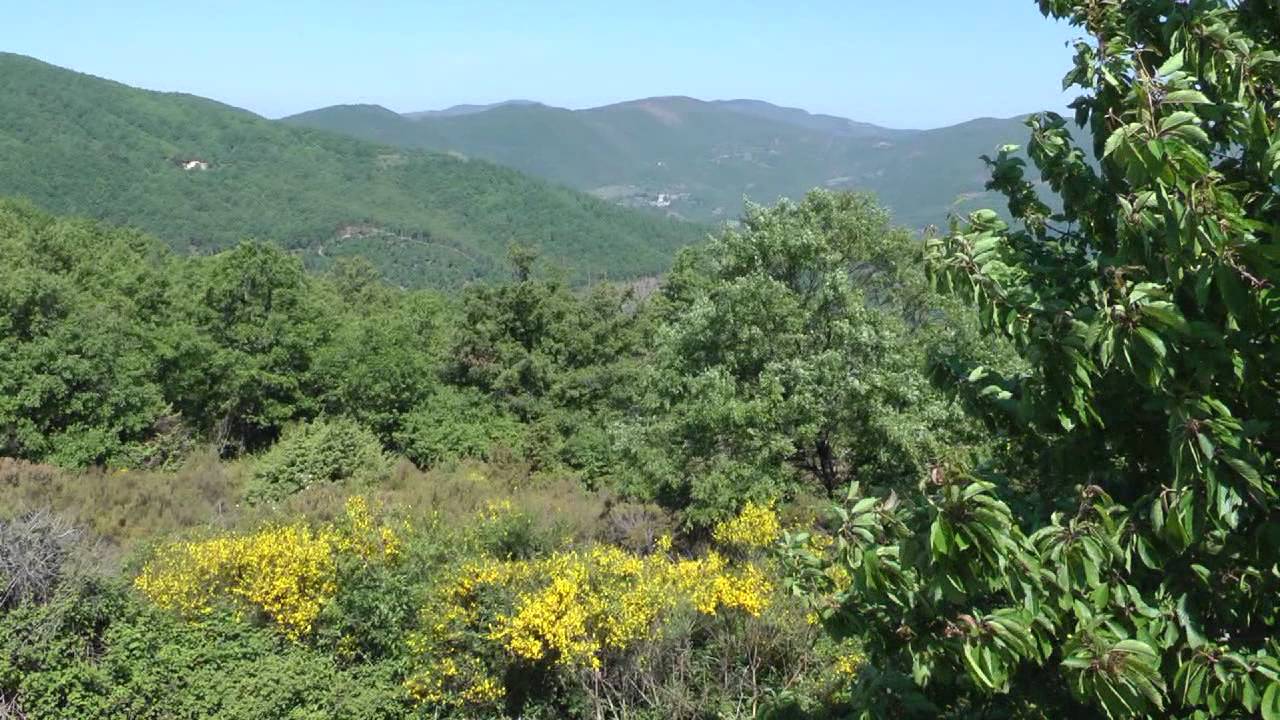 UMBRIA - Trekking delle ginestre 2011 - Le colline di Passignano sul Trasimeno