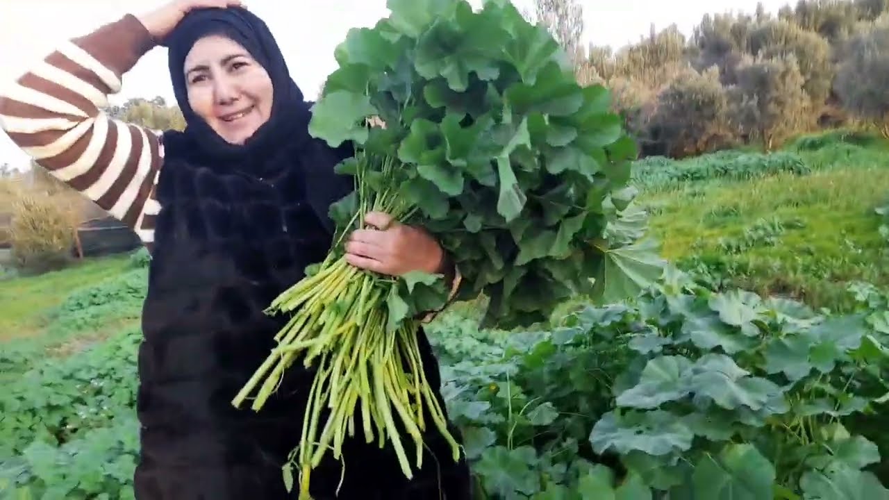 ريحت دوار كتحمق مع هاد طبيعة خلابة وجنينا بقولة 