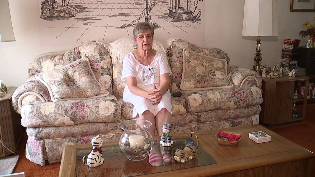 79-Year-Old Woman Sentenced to Jail Time for Feeding Stray Cats