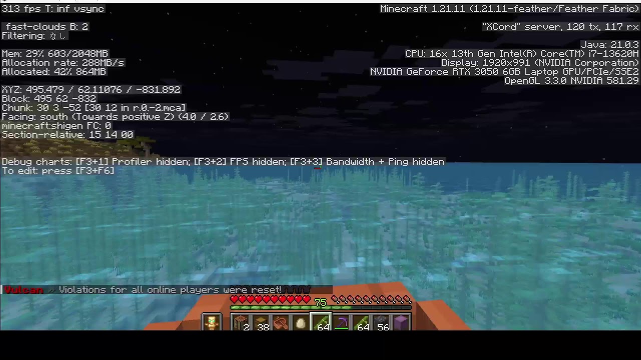 【マイクラ参加型】ねこかぞくの「アメジスト集めたよ」クロスプレイ対応 Java版＆統合版 #マイクラ参加型 #minecraft