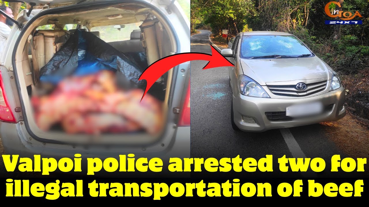 Valpoi police arrested two for illegal transportation of beef.