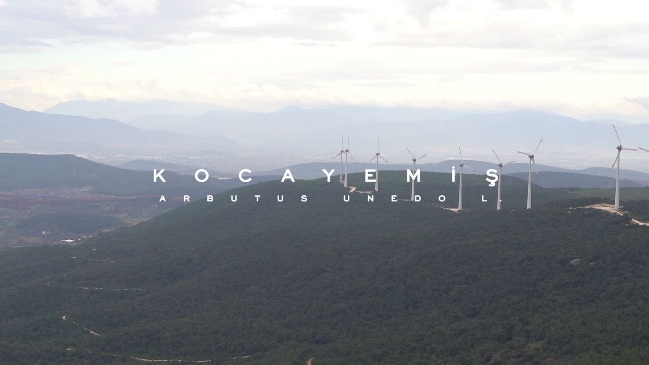#KocaYemiş; rengarenk görüntüsü ve şifa dolu özü ile maziye uzanan lezzet…