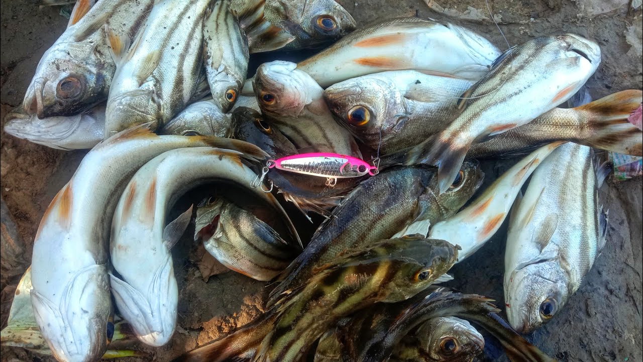 Mancing Sebentar Strike Banyak, Gak Perlu Lama Lempar, STRIKE!