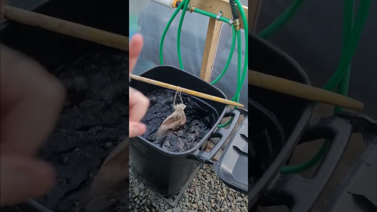 Worm Tea - Organic Compost Tea #tea #organic #supersoil #feedyoursoil #compost #vermicompost