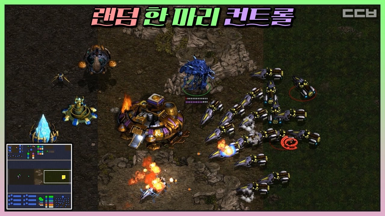 【유즈맵】랜덤 한 마리 컨트롤 v1.9