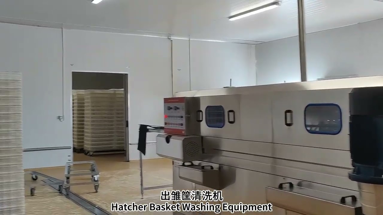 Yunfeng Incubator in Botswana