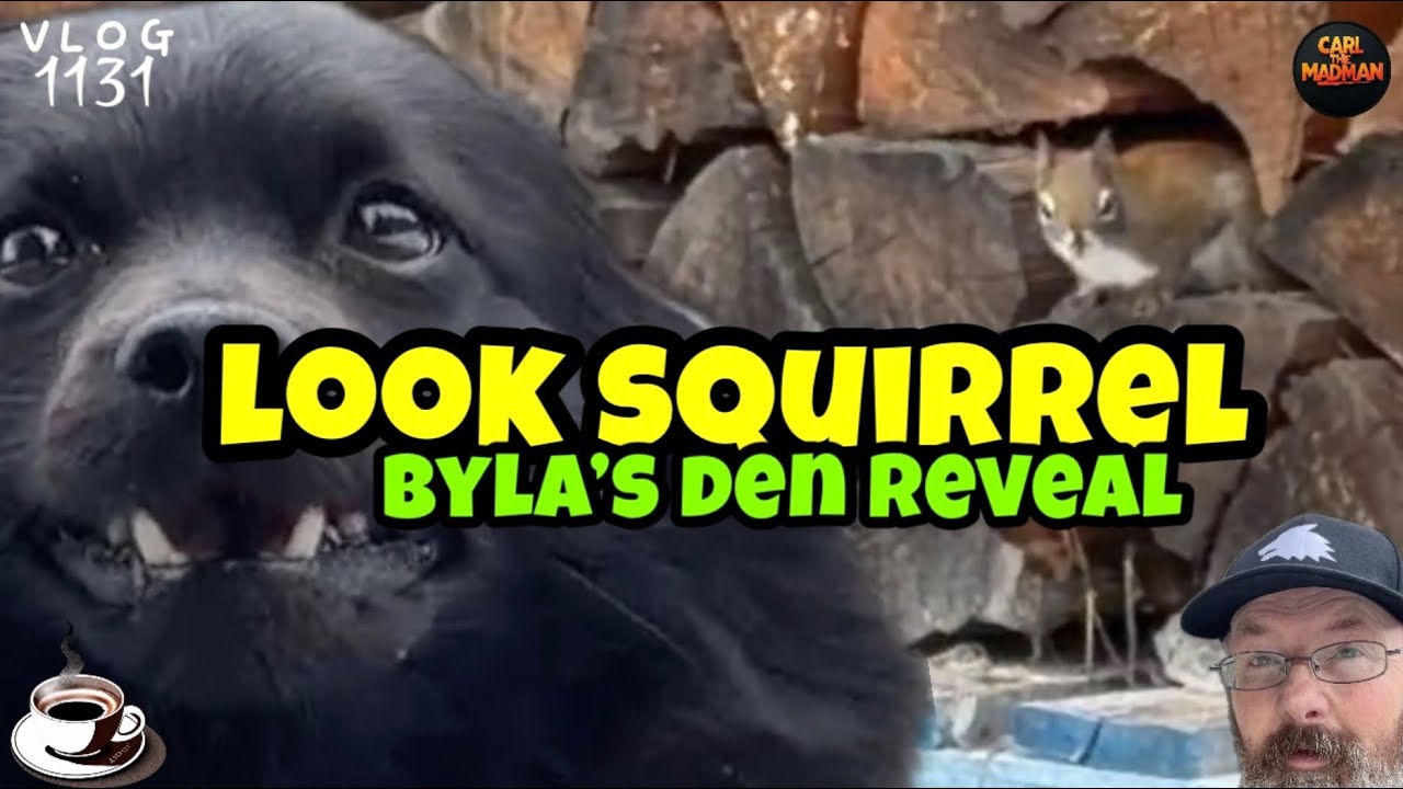 CTM 1131: Look Squirrel 🐿️ – Byla’s New Den