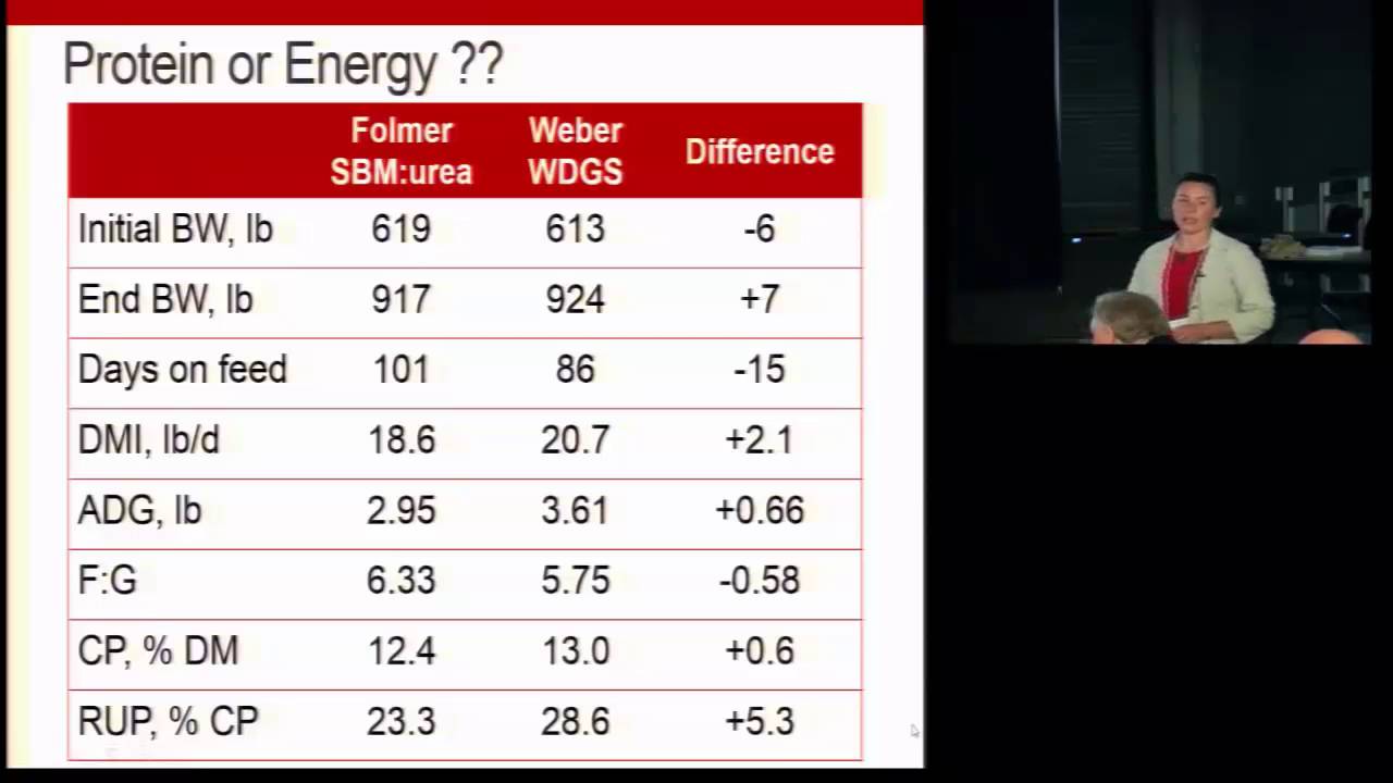 Use of corn silage in growing programs and protein considerations, Silage for Beef Cattle Conference