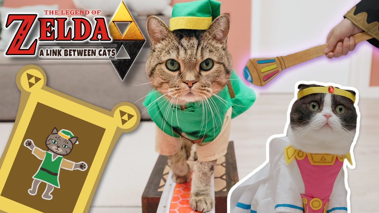 Legend of Zelda A Link Between Cats
