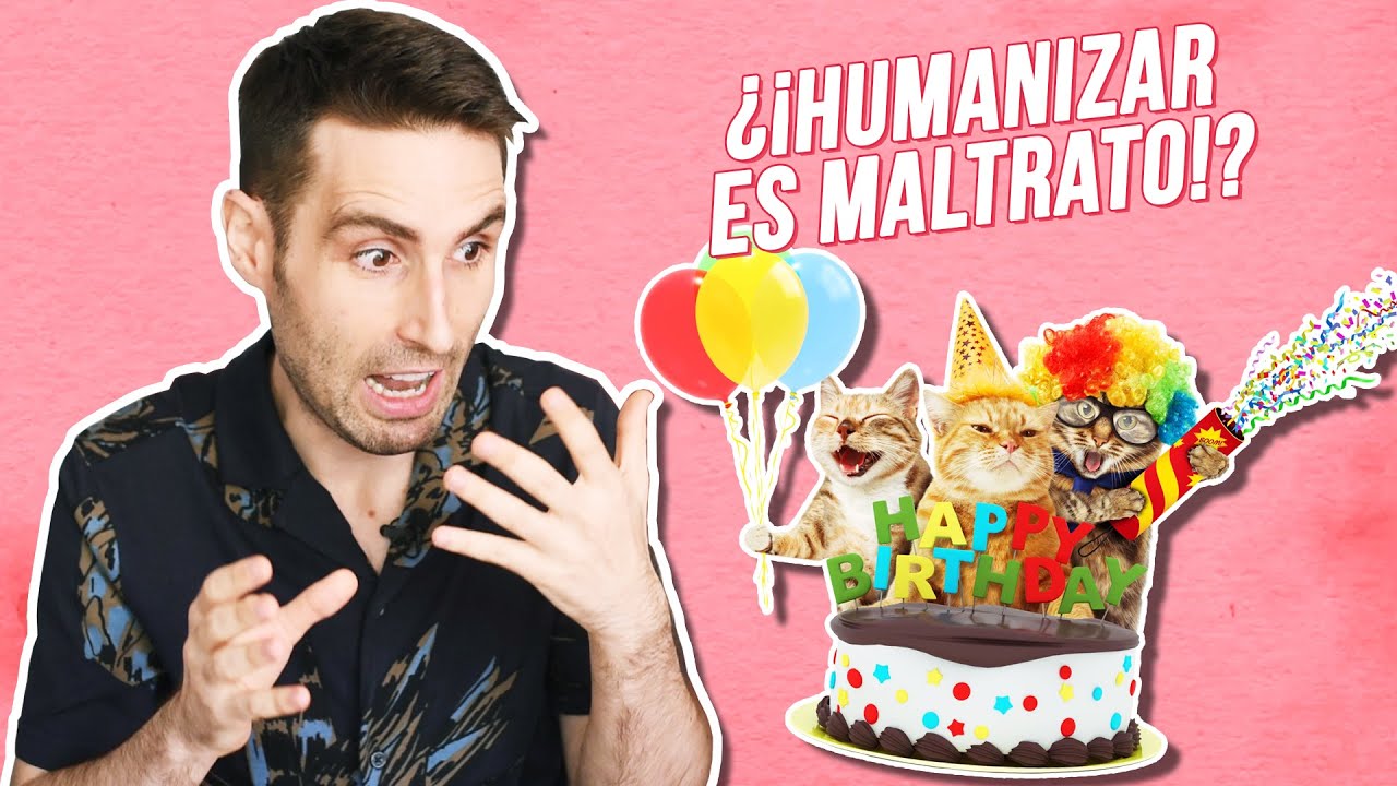 8 formas que HUMANIZAR a tu MASCOTA (gatos 🐈 y perros 🐕) | ¿Es una forma de maltrato? 💢