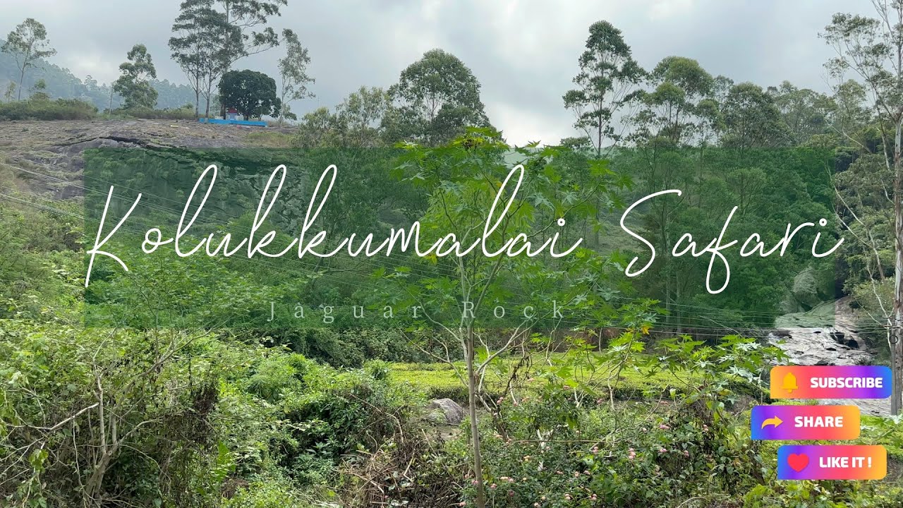 Jaguar rock | kolukkumalai peak top view point jeep safari | munnar kerala tourist places to visit