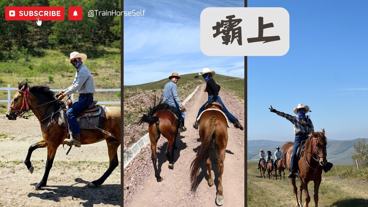 【壩上】5/29-6/5 中國野騎，早上騎馬下午也騎馬｜騎整天的行程就在野外野餐休息｜草原、速度、我滴馬。