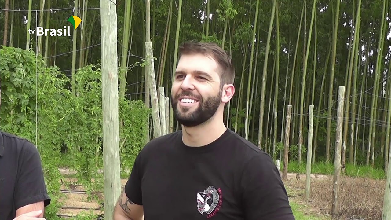 Produtores de Santa Catarina investem na produção de lúpulo