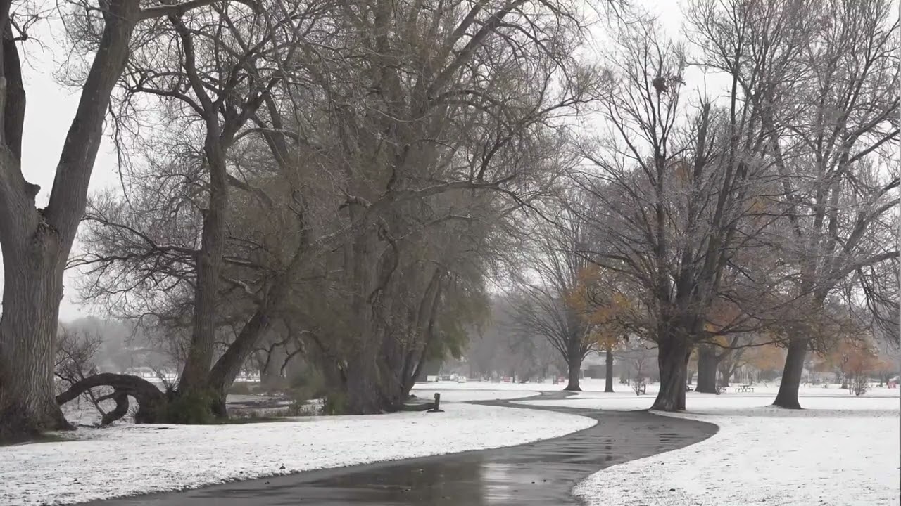 Cold Winter Snowstorm with Fierce Winds - Blowing Snow and Howling Gale Sounds - Calming Background