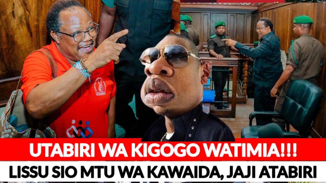 KIGOGO ATABIRI MAZITO BALAA KUHUSU TUNDU LISSU, HUYU SI MTU WA KAWAIDA AITIKISA MAHAKAMA YA TANZANIA