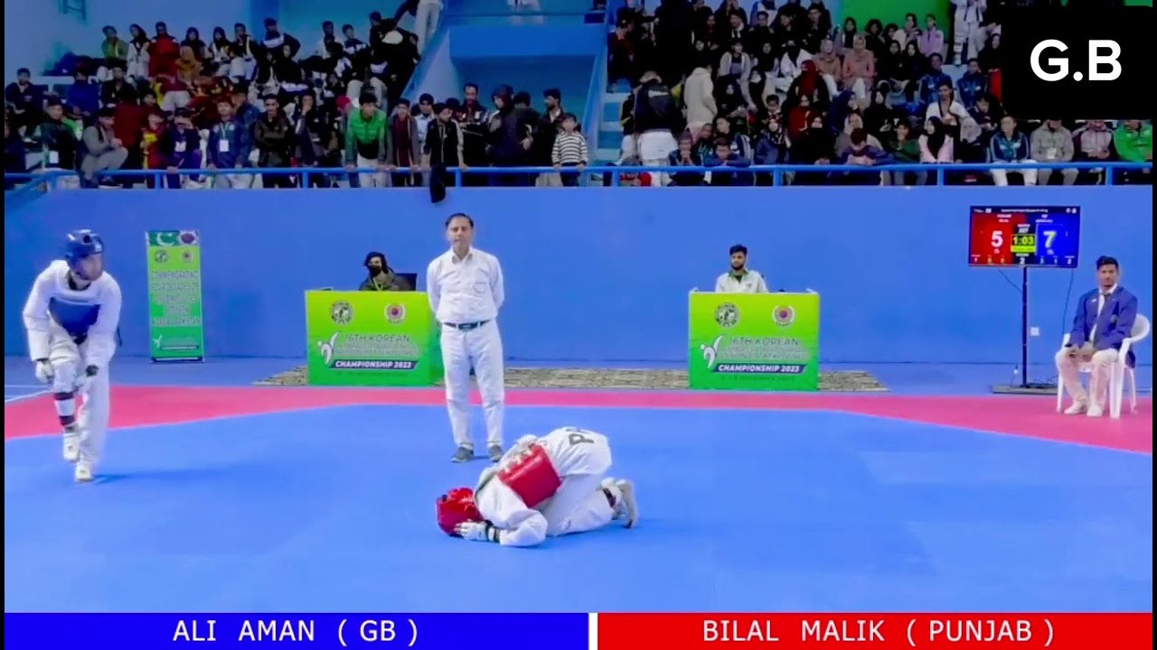 Korean Ambessdor Taekwondo Championship 2024 | G B vs Punjab | Taekwondo best fight